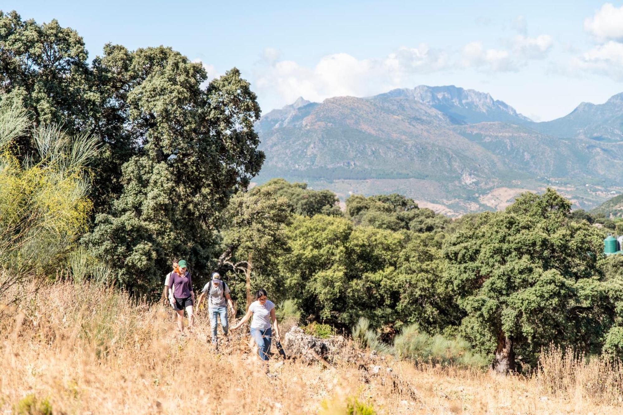 בית הארחה מונטקורטו 	La Donaira מראה חיצוני תמונה